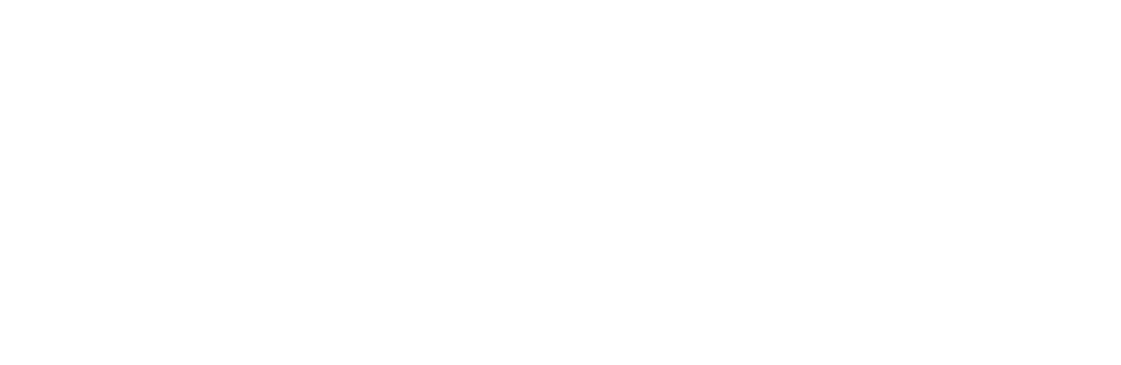 Zenni Blokz Logo