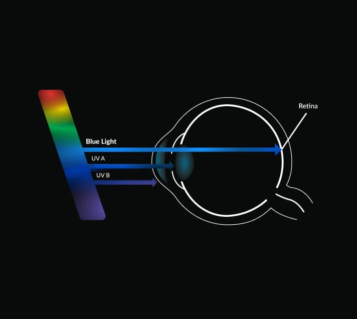 The ray of blue light passes through the eye to the retina as opposed to UV A and UV B light.
