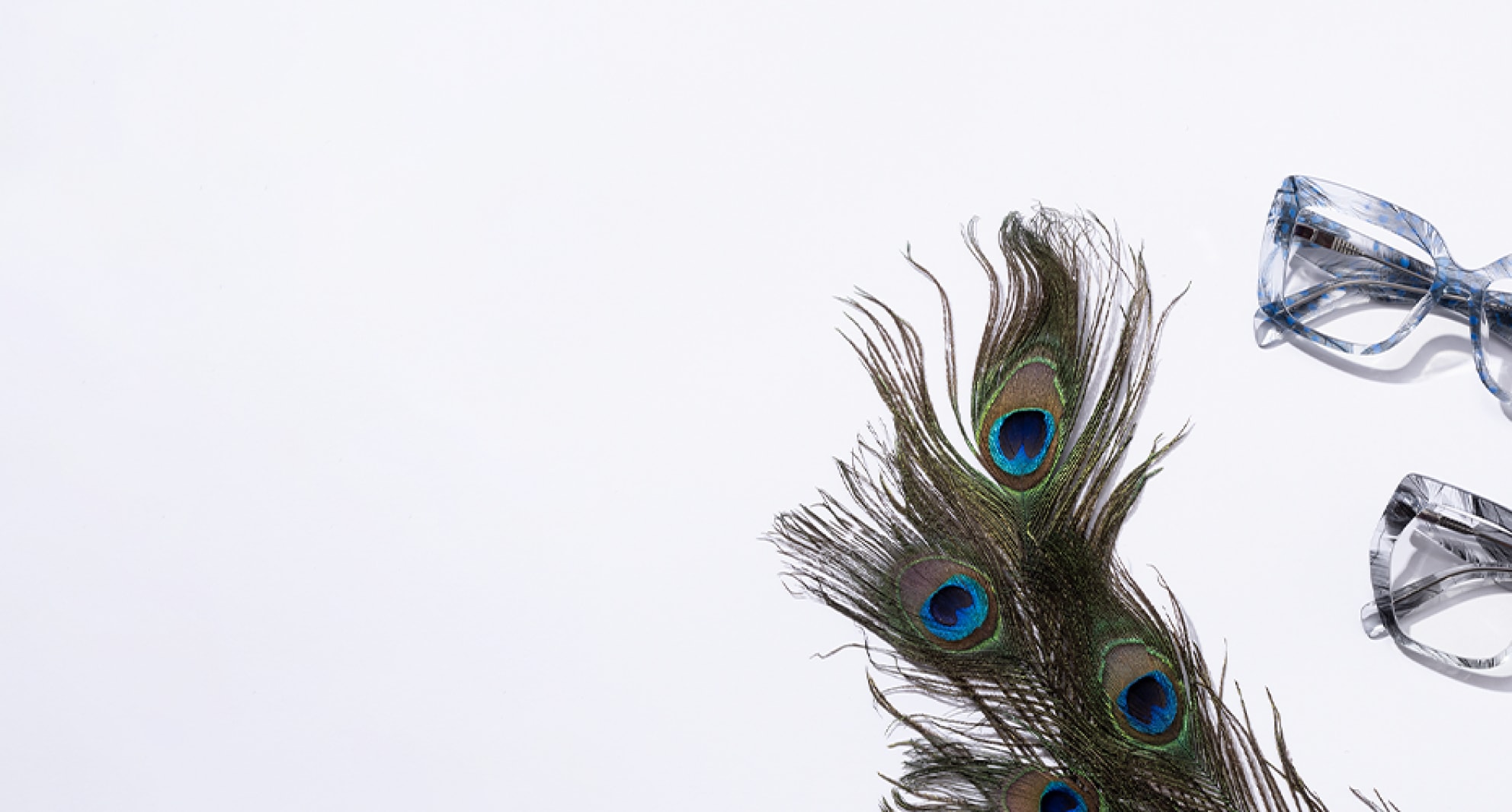 Peacock feathers next to blue feather-patterned transparent glasses and black feather-patterned transparent geometric glasses.