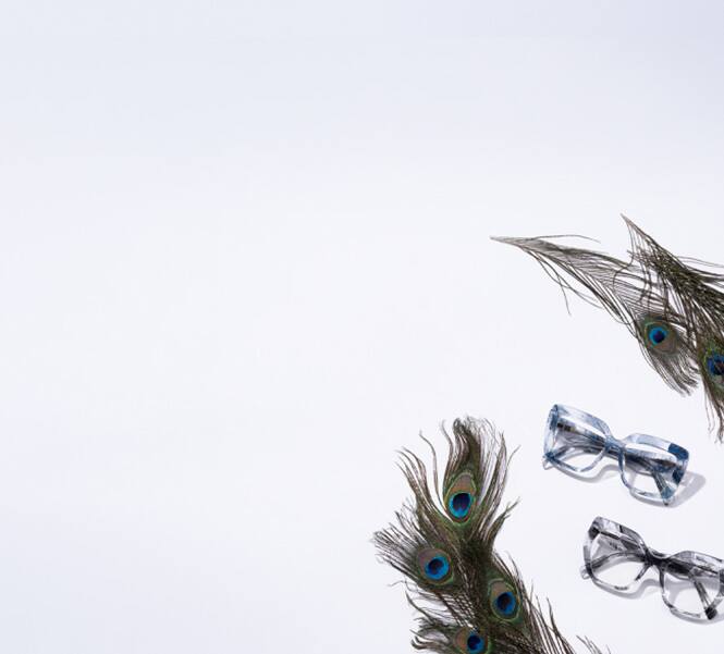 Peacock feathers next to blue feather-patterned transparent glasses and black feather-patterned transparent geometric glasses.