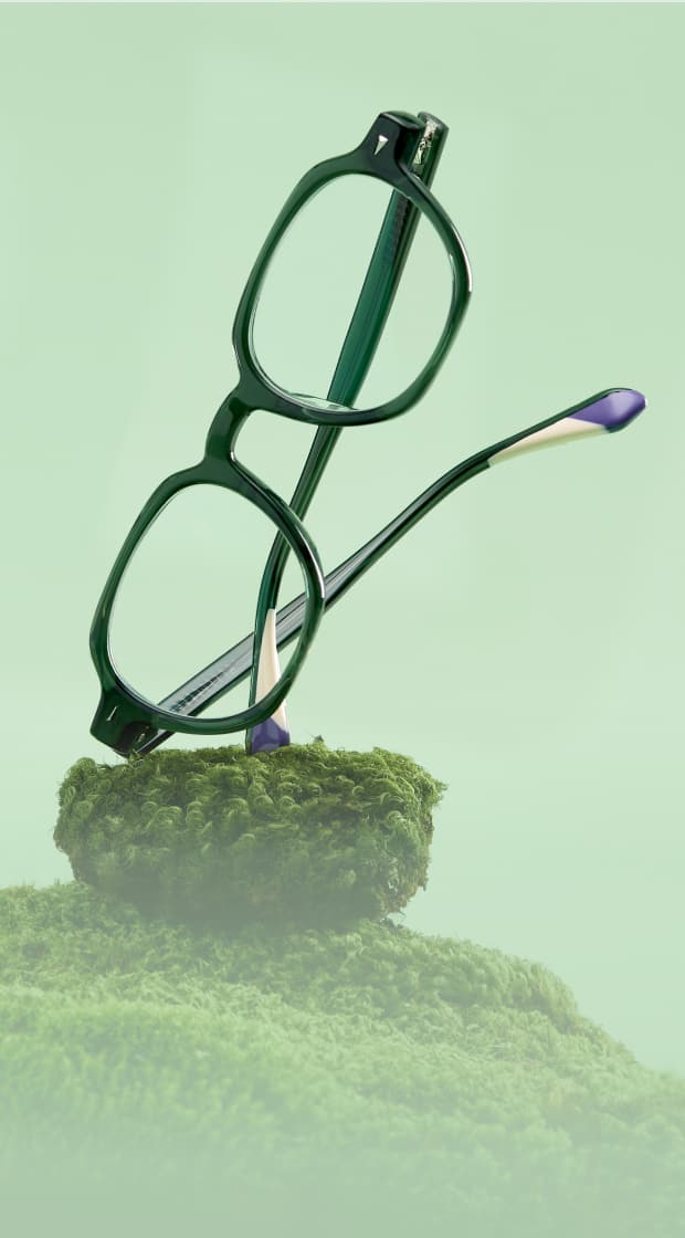 Dark green Zenni glasses perched on a piece of moss in front of a green picture frame.