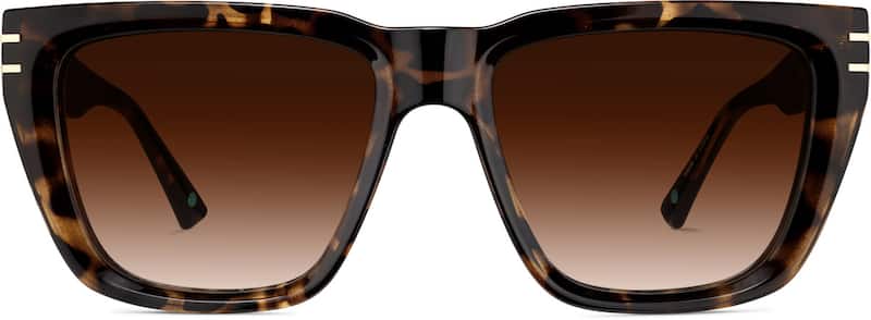 Tortoiseshell  Premium Square Sunglasses  