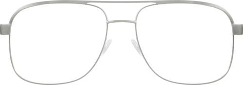 Sunset Aviator Sunglasseslens frame image