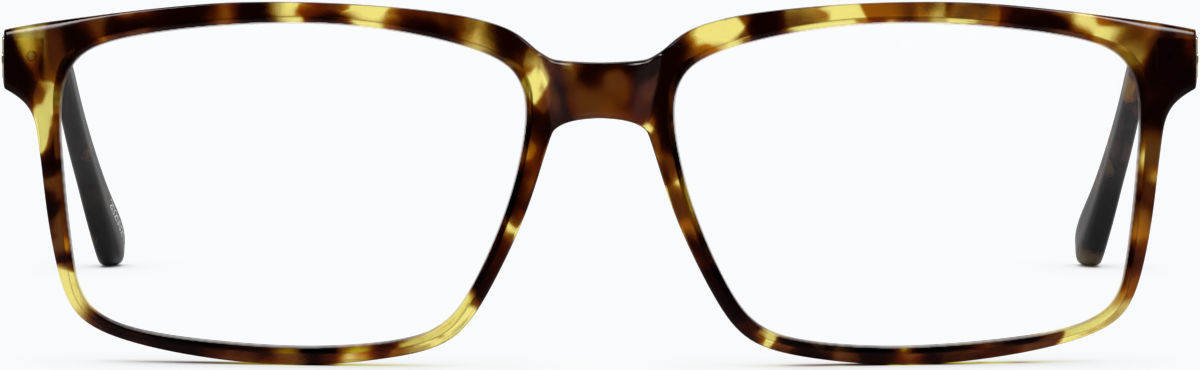 Front view of Rectangle Glasses 2020025 in Tortoiseshell