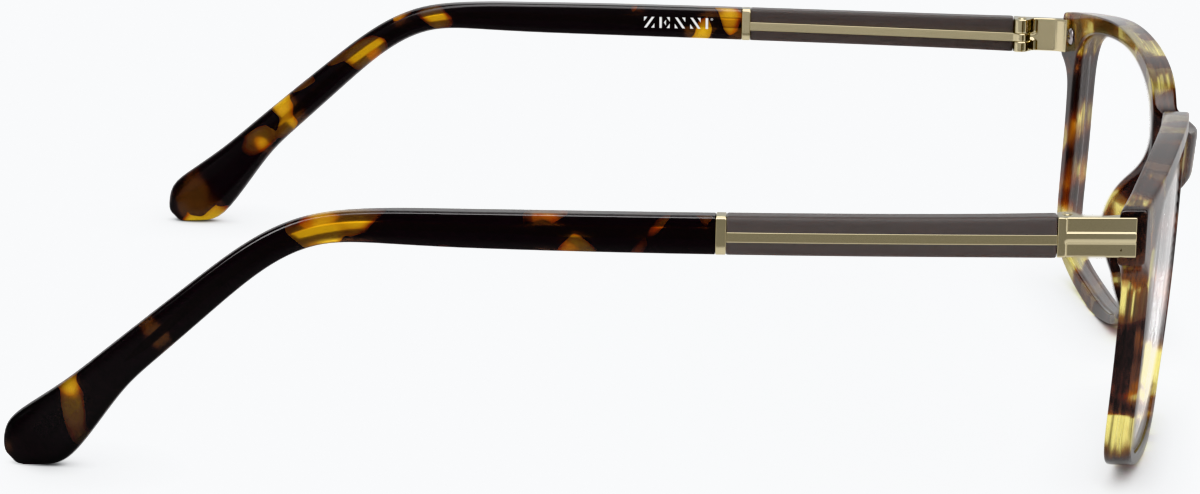 Side view of Rectangle Glasses 2020025 in Tortoiseshell