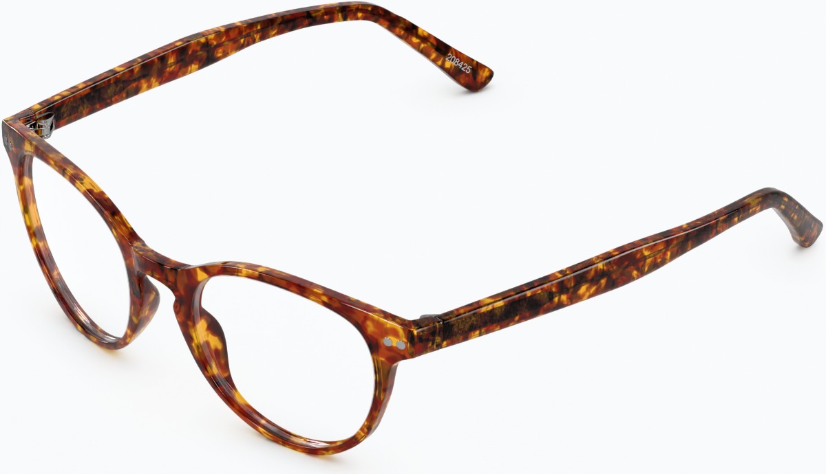 Angle view of Round Glasses 208425 in Tortoiseshell
