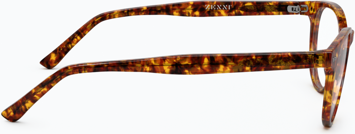 Side view of Round Glasses 208425 in Tortoiseshell