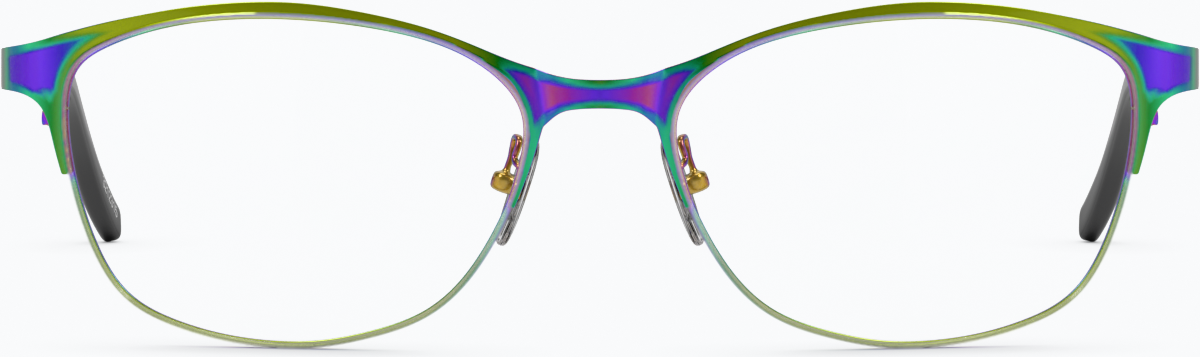 Front view of Browline Glasses 3212329 in Multicolor
