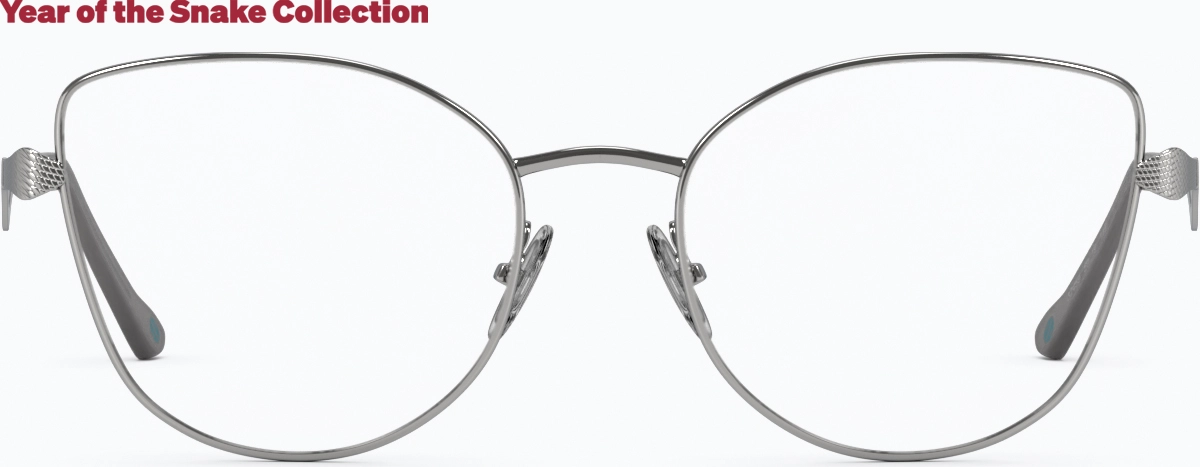 Front view of Serpent Sage Glasses 3245911 in Silver