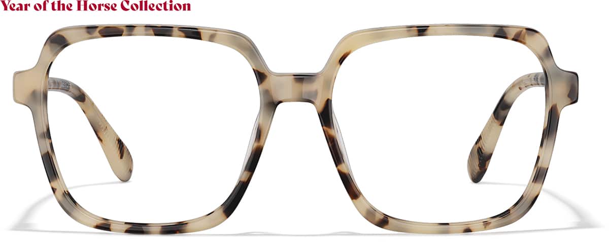 Front view of Momentum 4480935 in Tortoiseshell