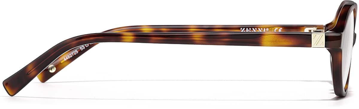 Side view of Oval Glasses 4482725 in Brown Tortoiseshell