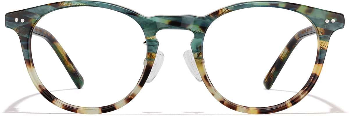 Front view of Skyline P4422425 in Tortoiseshell
