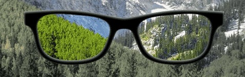 What are Polarized lenses?