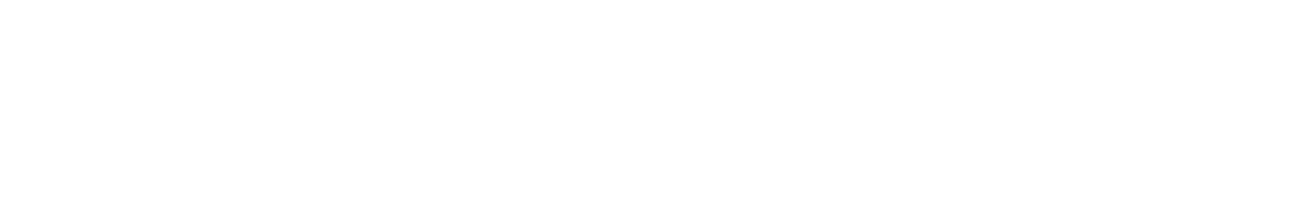 zenni chase stokes logo