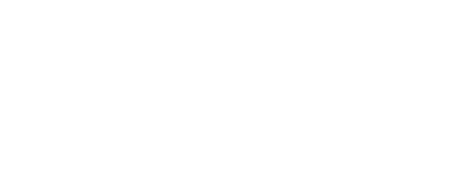 Zenni Blokz logo