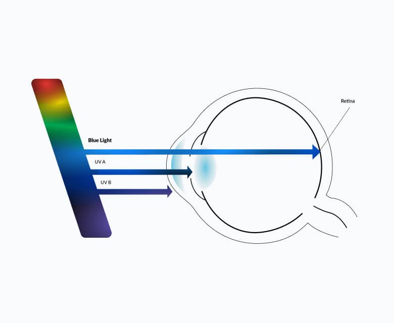 Diagram showing the light spectrum with arrows for blue light, UVA and UVB light pointed at a cross-section of an eye. The blue light arrow goes all the way through the eye to the retina.