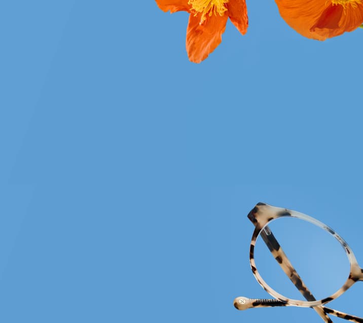 Tortoiseshell Zenni glasses surrounded by red poppies on a blue background.