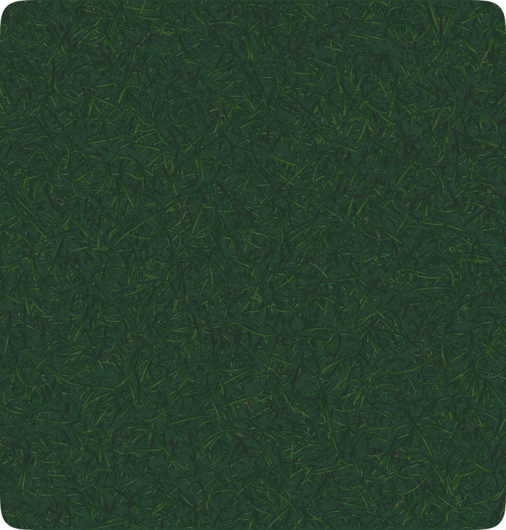 Zenni Optical and Don't Park on the Grass 2024 gaming event Logos, featuring white text on dark green background.