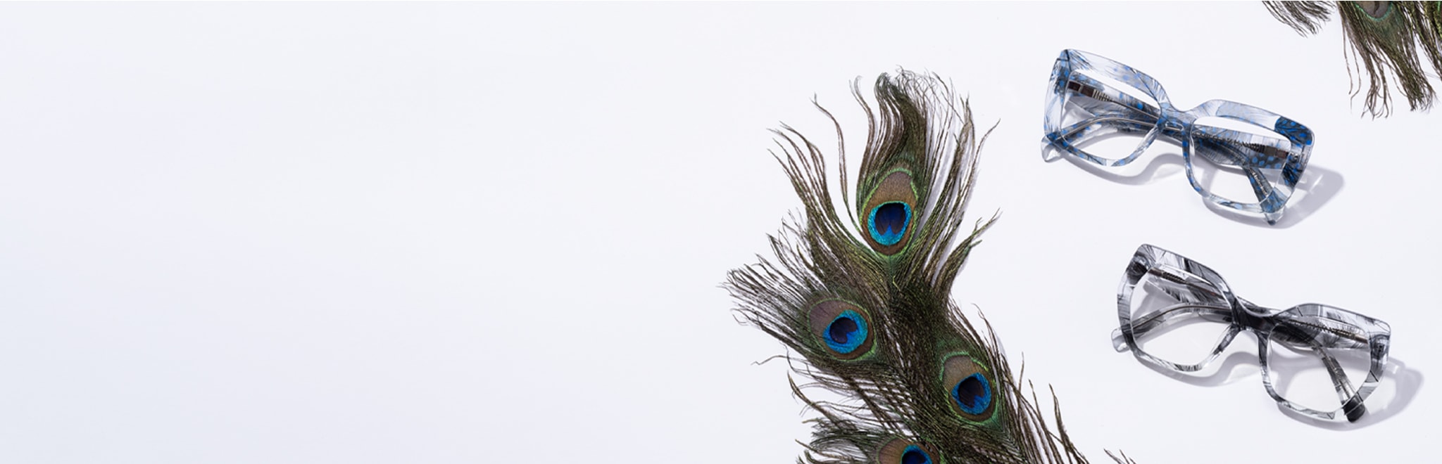 Peacock feathers next to blue feather-patterned transparent glasses and black feather-patterned transparent geometric glasses.