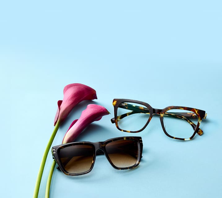 Square tortoiseshell Zenni glasses and oversized tortoiseshell Zenni sunglasses, on a blue surface with pink lilies.