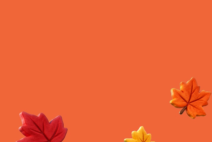 Gros plan sur un style demi-cerclé écaille Zenni sur fond orange avec des feuilles d'automne.
