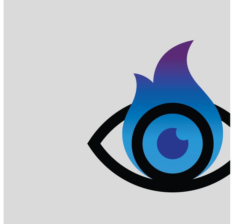 FryEye logo