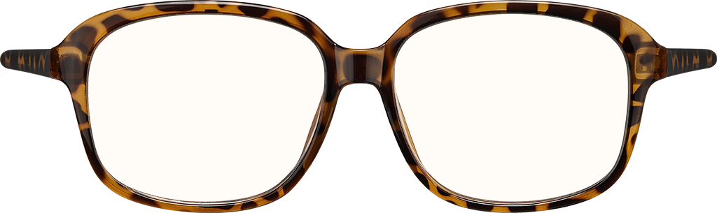 Square Glasses 2067