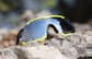 Image of Zunnies - Wrap-Around Visor Sunglasses thumbnail