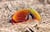 Image of Zunnies - Wrap-Around Visor Sunglasses thumbnail