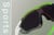 Image of Zunnies - Wrap-Around Shield Sunglasses thumbnail