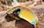 Image of Zunnies - Wrap-Around Shield Sunglasses thumbnail