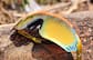 Image of Zunnies - Wrap-Around Shield Sunglasses thumbnail