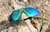 Image of Zunnies - Wrap-Around Shield Sunglasses thumbnail