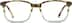 Square Glasses  106215 in Brown