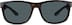 Premium Rectangle Sunglasses 1116725 in Tortoiseshell