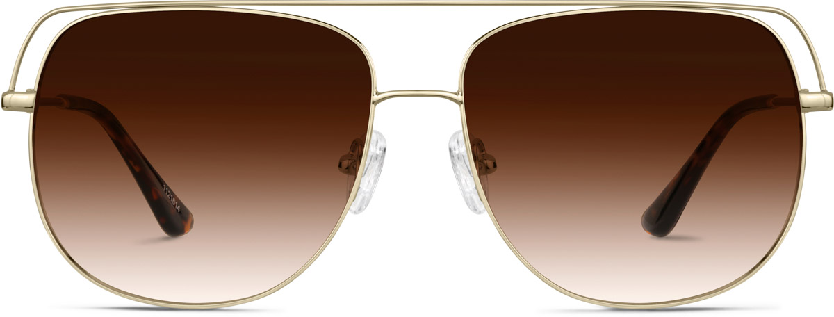Gold Premium Aviator Sunglasses #1121614 | Zenni Optical