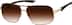 Champ Code 1125525 in Tortoiseshell