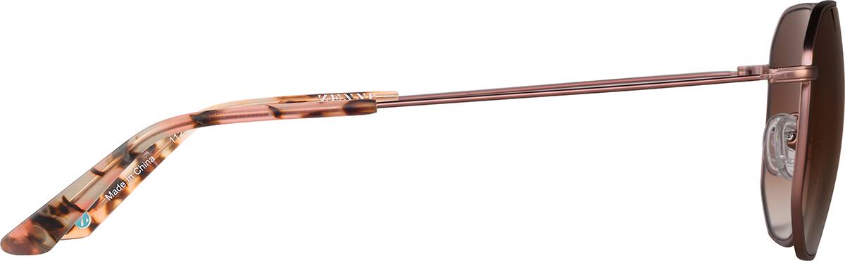 Hayden 11299