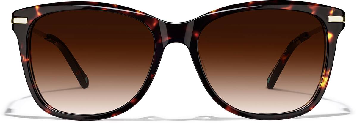Premium Square Sunglasses 11302