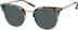 Premium Browline Sunglasses 1132739 in Pattern