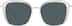 Square Sunglasses 1134323 in Frost