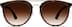 Aviator Sunglasses 1134825 in Tortoiseshell