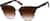 Angle view of Browline Sunglasses 1136315 in Brown thumbnail
