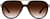Front view of Aviator Sunglasses 1137445 in Tortoiseshell thumbnail