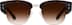 Browline Sunglasses 1137545 in Tortoiseshell