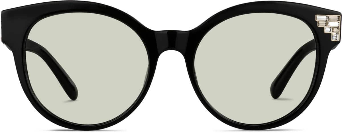 Front view of Premium Round Sunglasses 114021 in Black