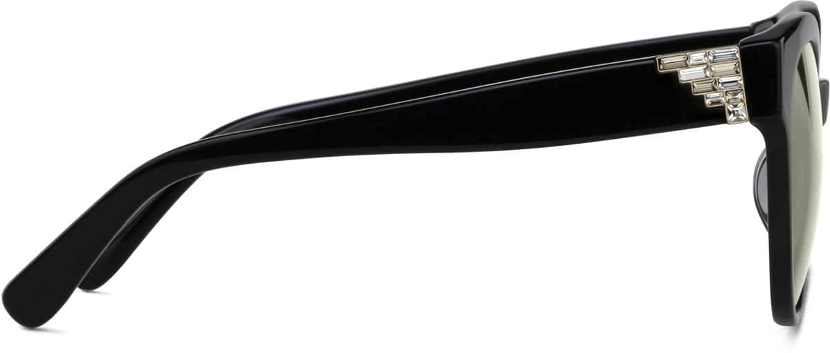 Side view of Premium Round Sunglasses 114021 in Black