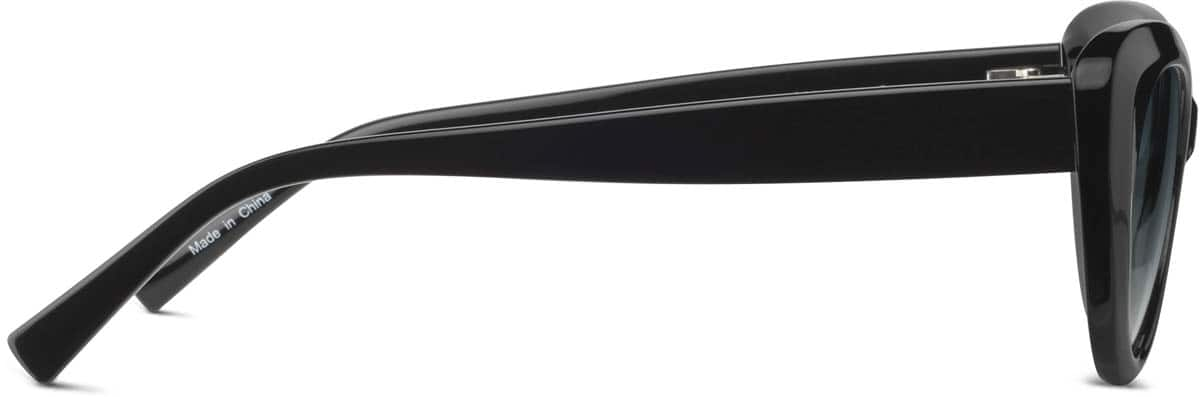 Side view of Cat-Eye Sunglasses 1144221 in Black