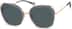 Premium Cat-Eye Sunglasses 1150112 in Gray