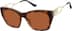 Square Sunglasses 1151425 in Tortoiseshell